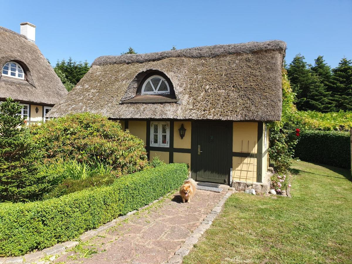 Zara'S B&B Horsens Exterior photo